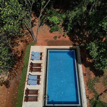 Isanka Lion Lodge Sigiriya Exterior photo